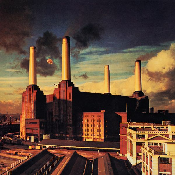 animals_pink-floyd_28945147.jpg