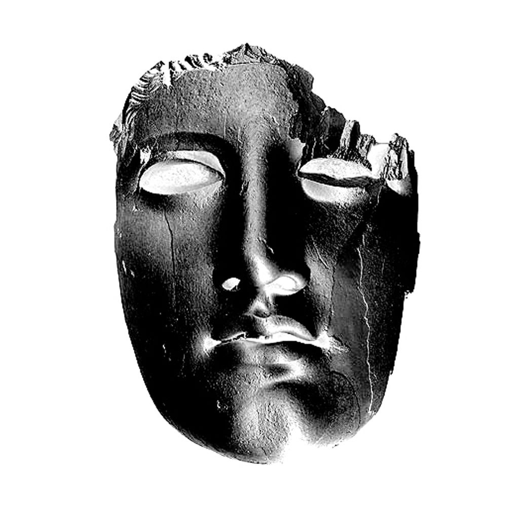 biblioteca pleyades tanuki house 