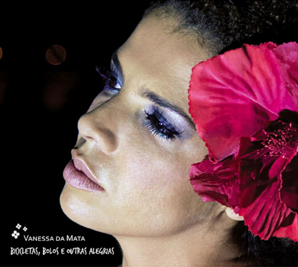 bicicletas bolos e vanessa da mata 