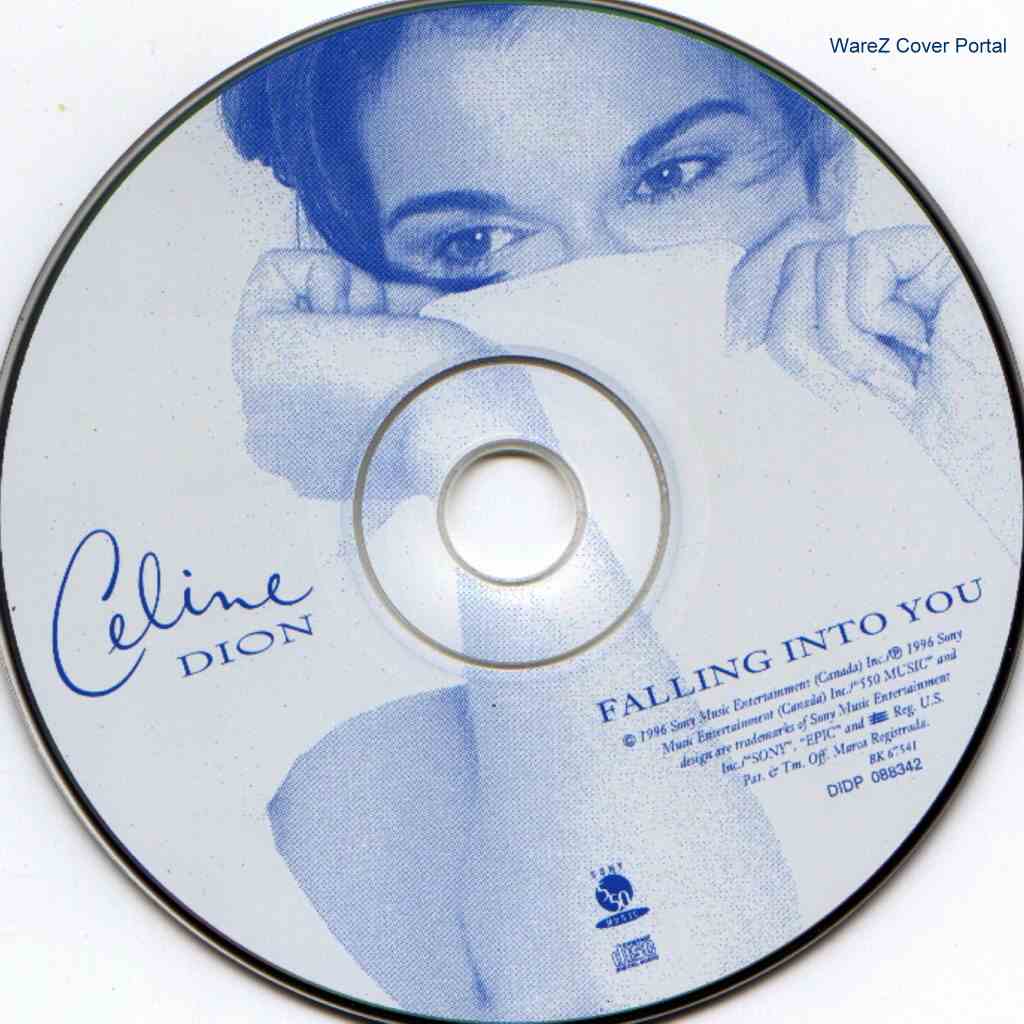Celine Dion Falling Into You cd