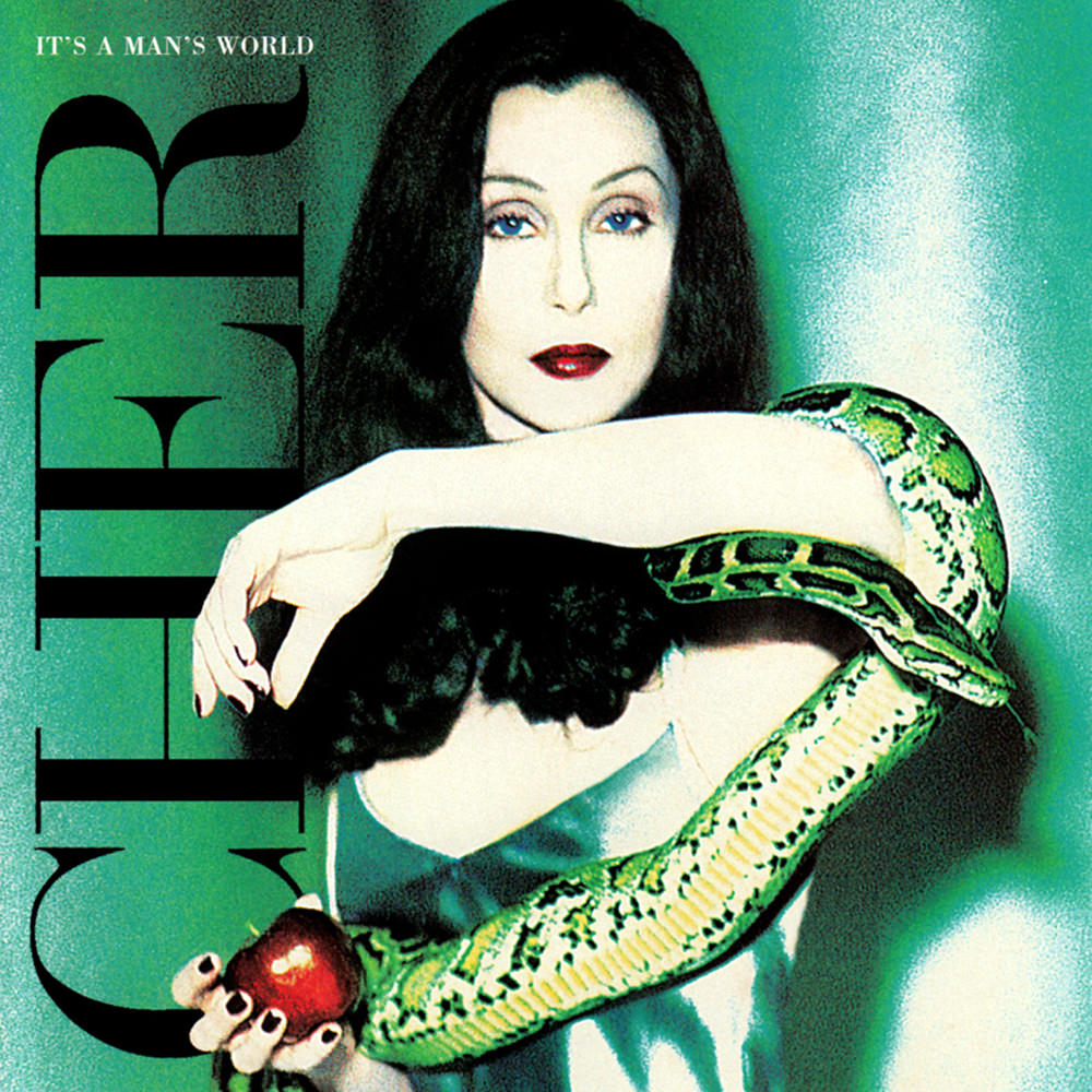 Cher 03 Its A Mans World