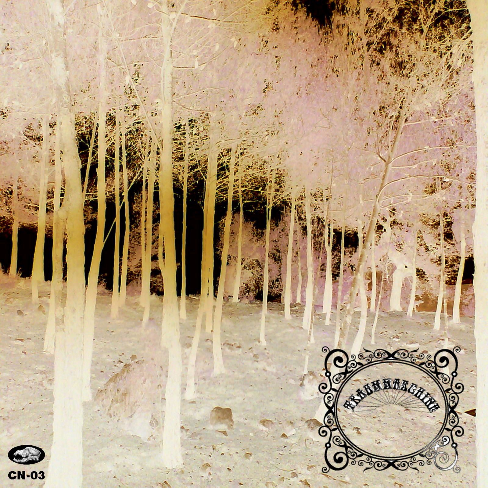 Cn 03Traummaschine 2008 DieKosmischeSache