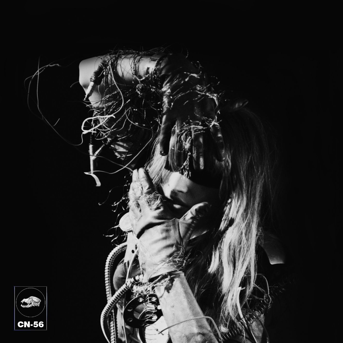 Cn 56ArchaeopteryxUltraavantgarda 2012 Vol.1