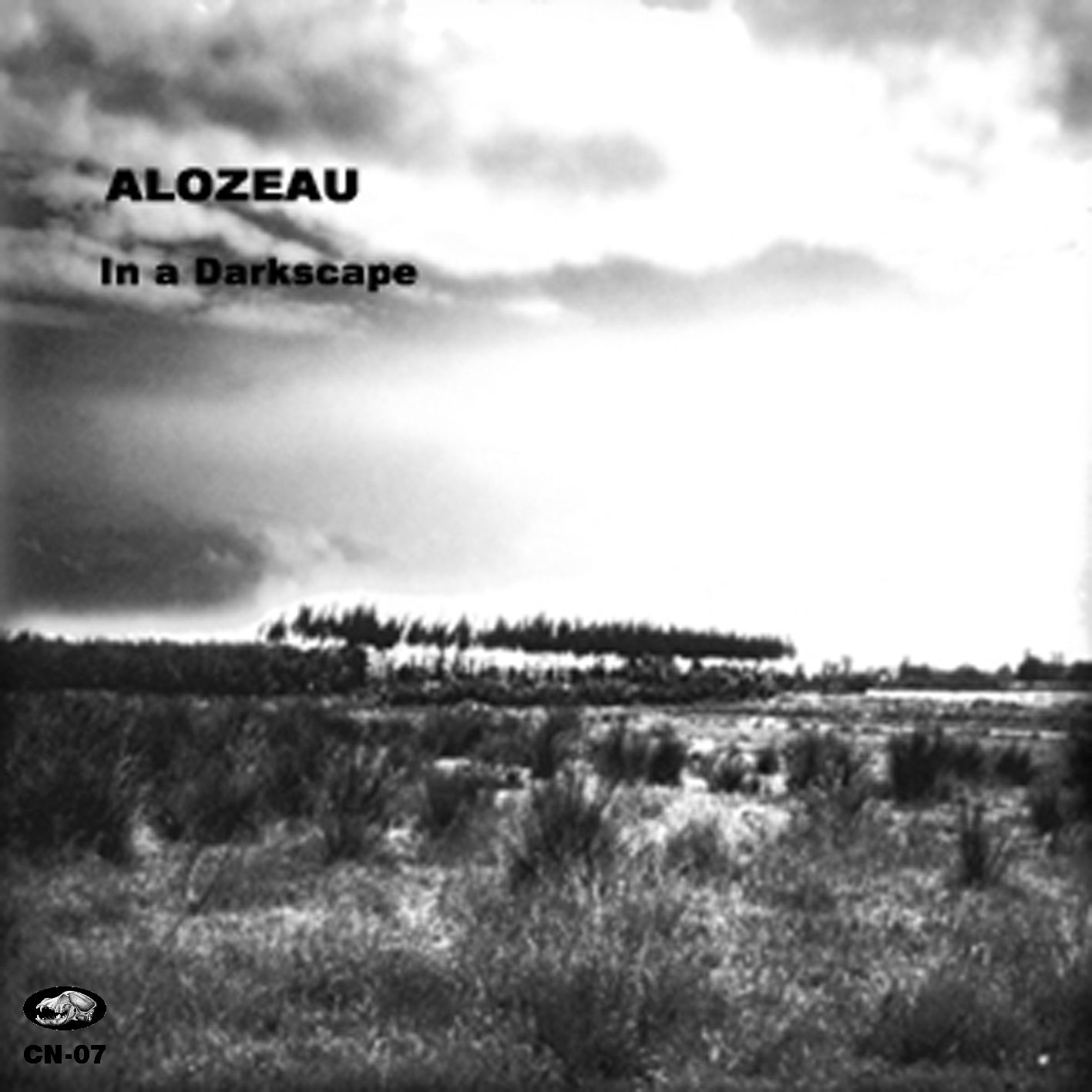 Cn 7Alozeau 2007 InADarkscape