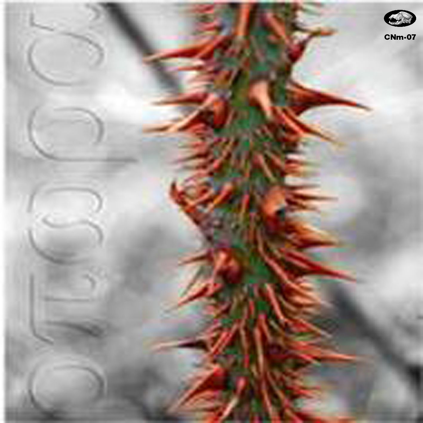 Cnm 07 Likantropika 2008 OporaEp