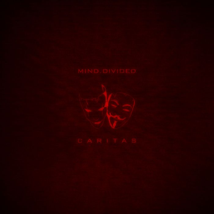 caritas minddivided 