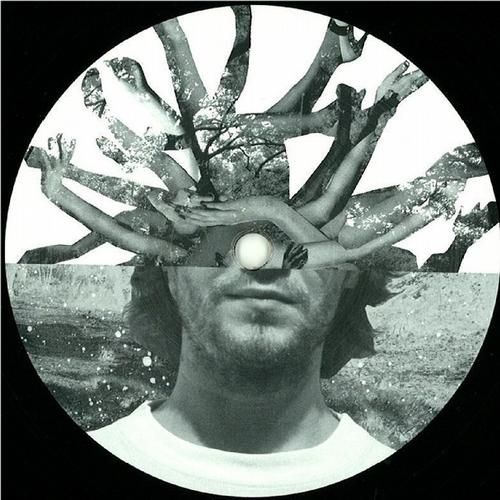 casionation matt star  