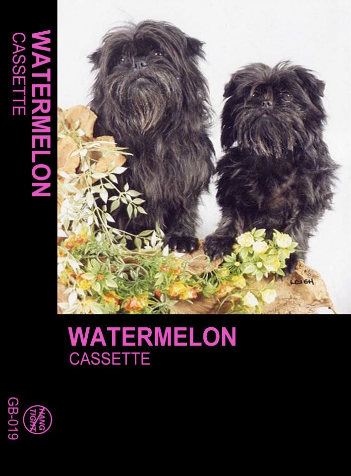 cassette watermelon 