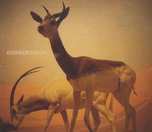 catch kosheen 