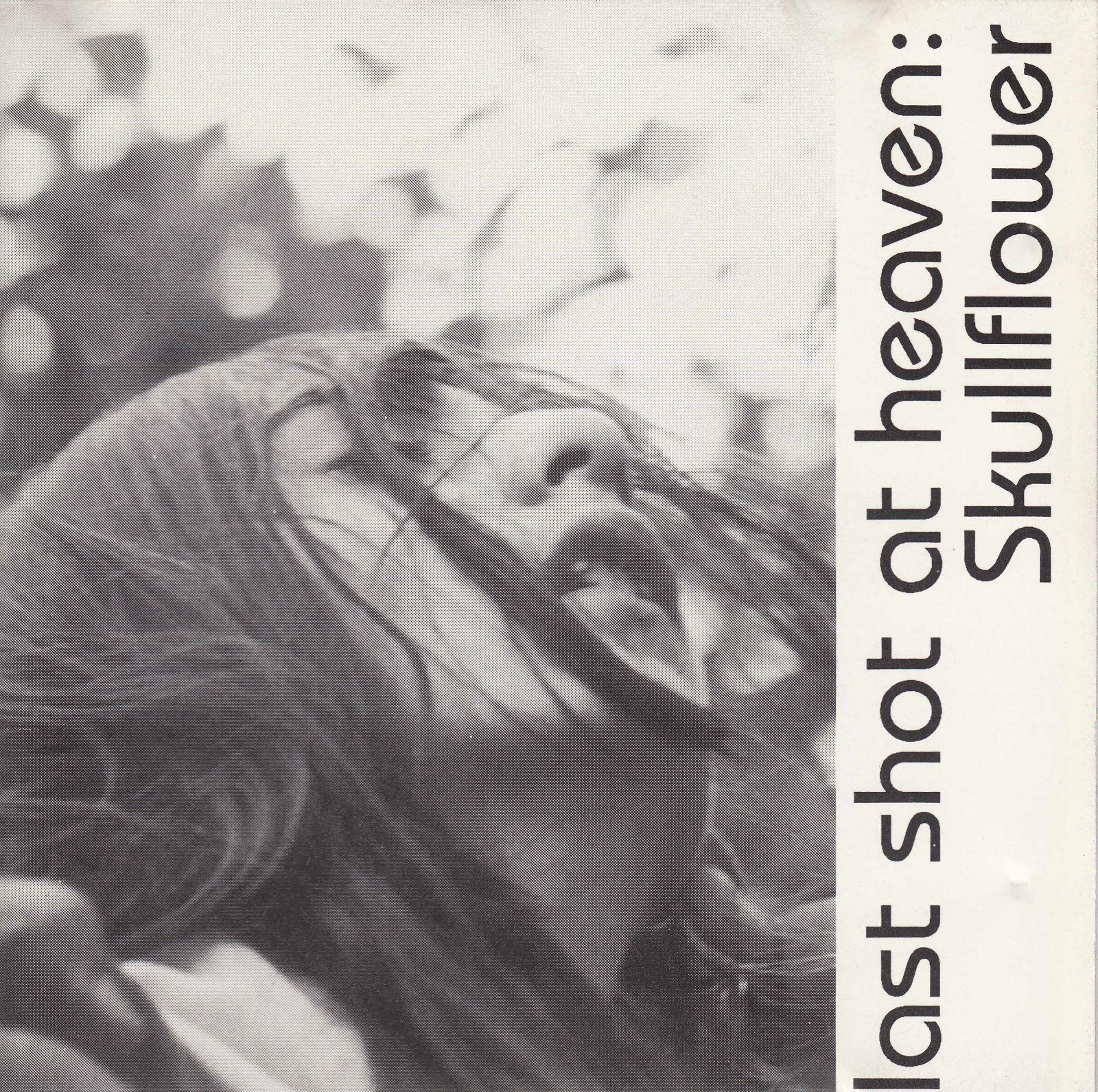 cd last shot at heaven 