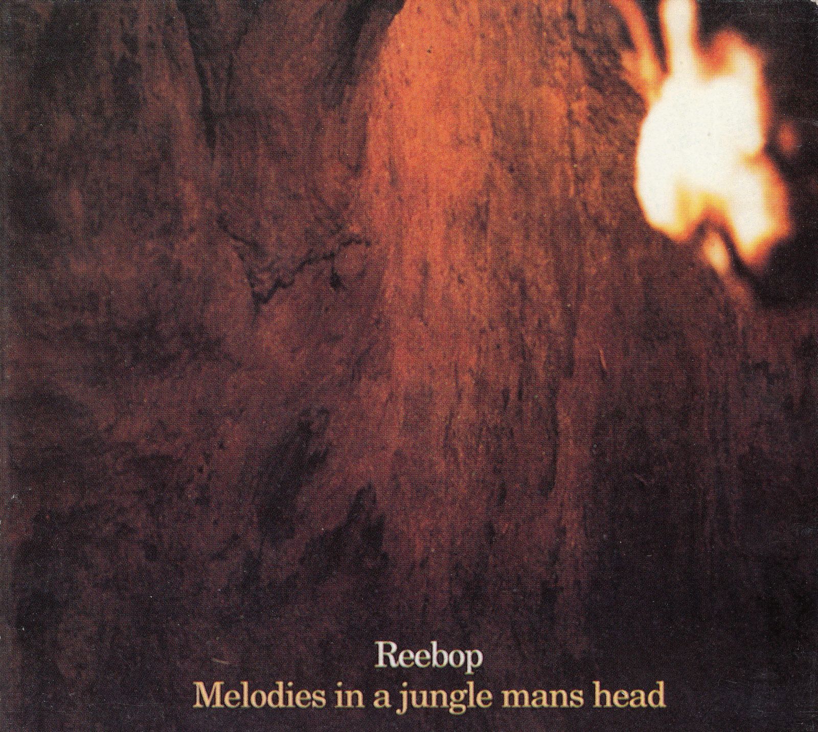 cd melodies in a jungle mans head 