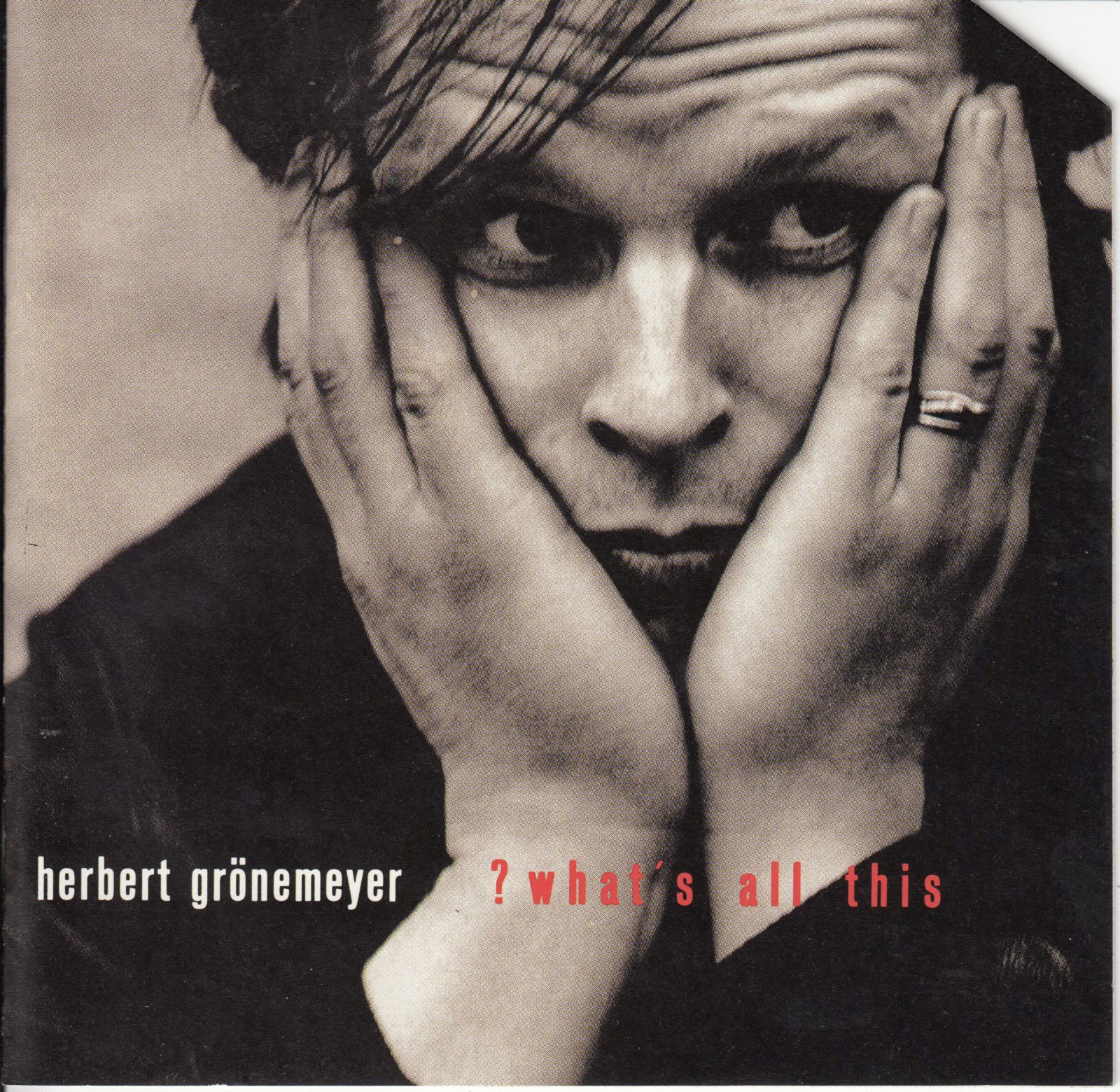 cd whats all this herbert grnemeyer