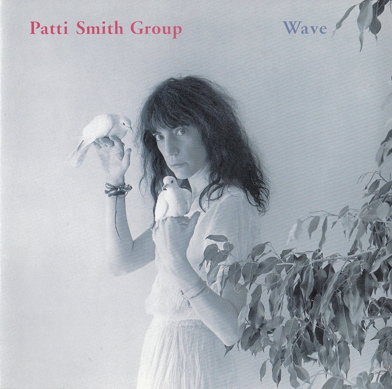 cde patti smith group