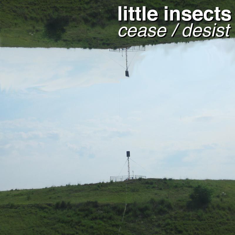 cease desist little insects 