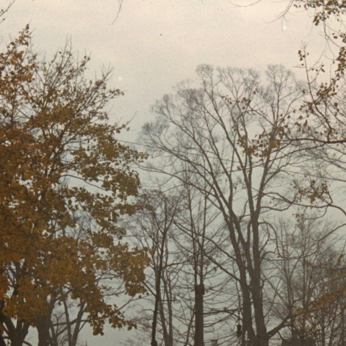 ceiling stories cetieu 