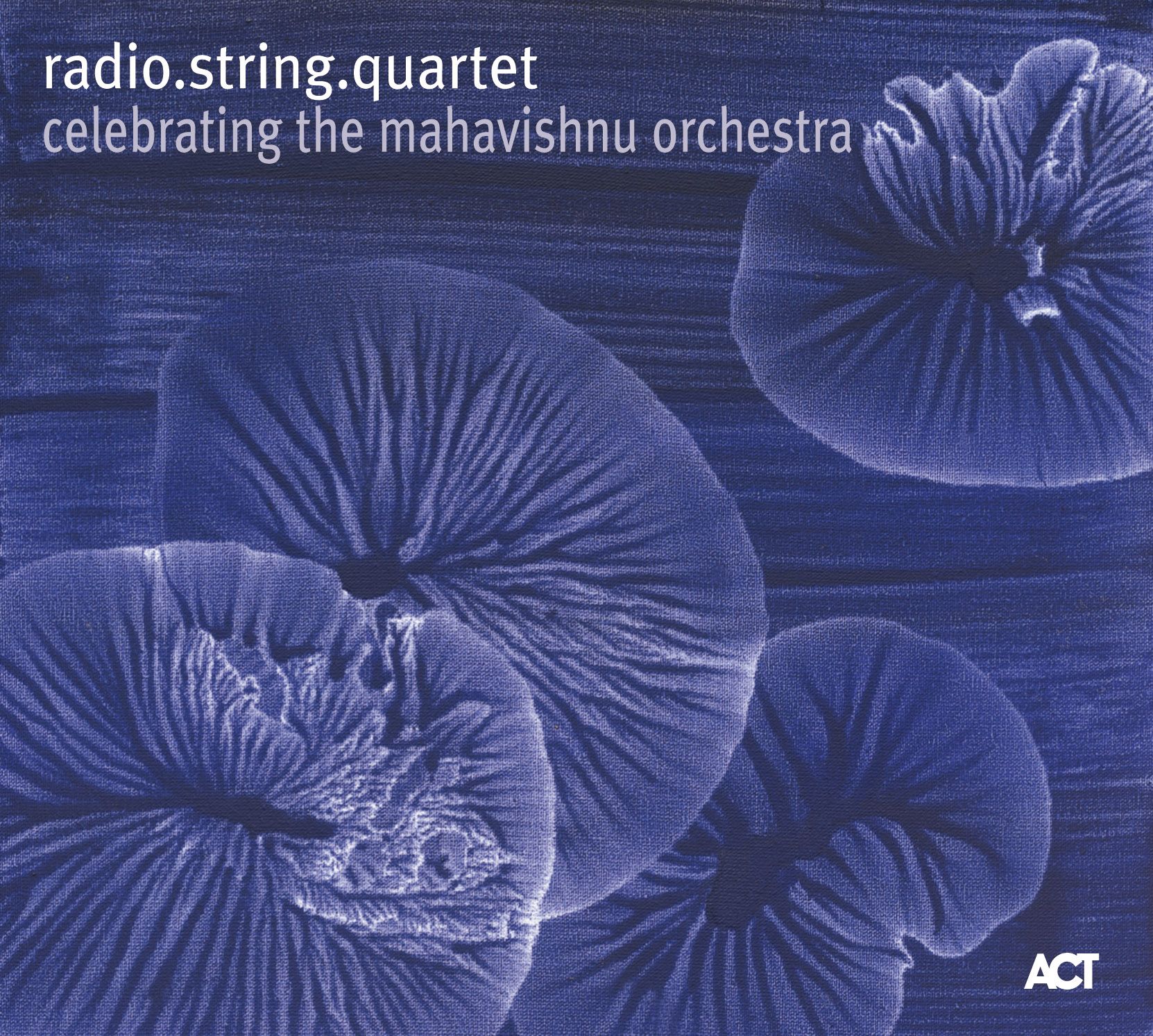 celebrating the maha radiostringquartet 