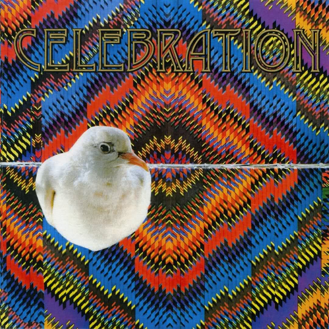 celebration celebration 