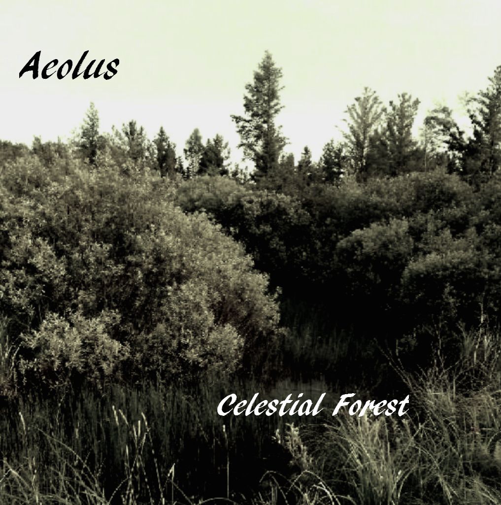 celestial forest aeolus 