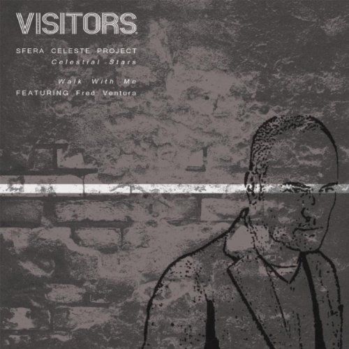 celestial stars wa sfera celeste projec  