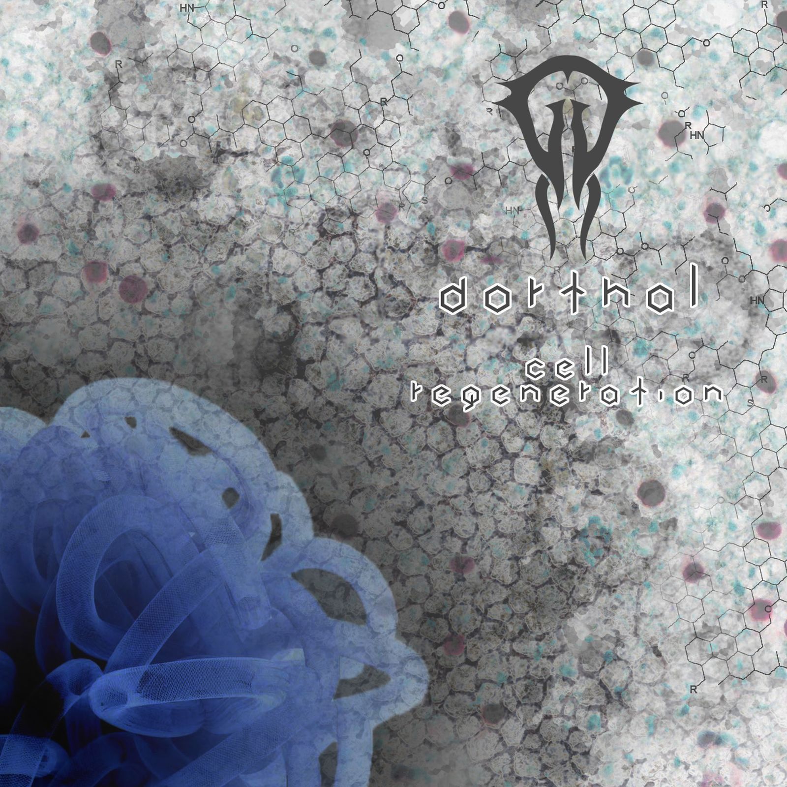 cell regeneration dorthal  