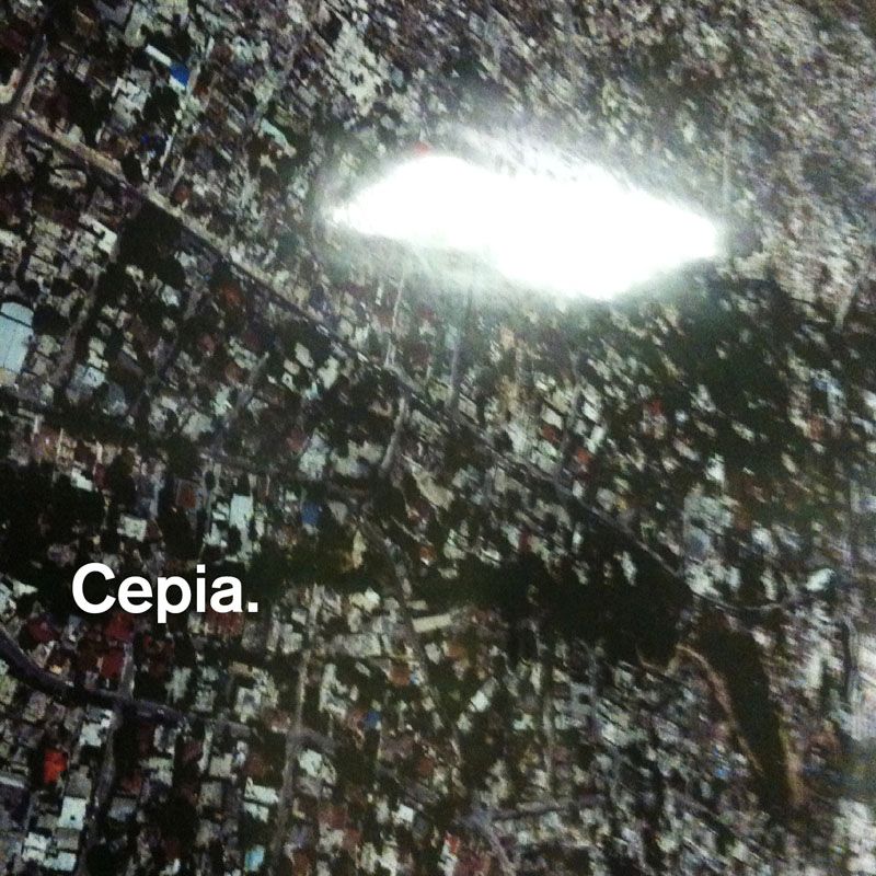 cepia cepia  