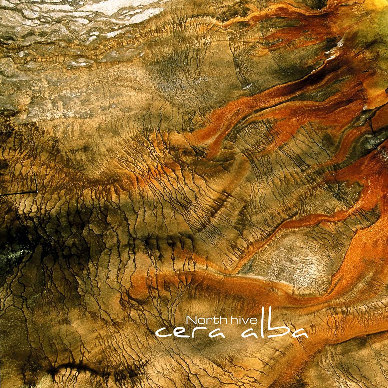 cera alba north hive 