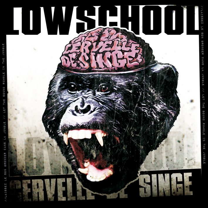 cervelle de singe lowschool 