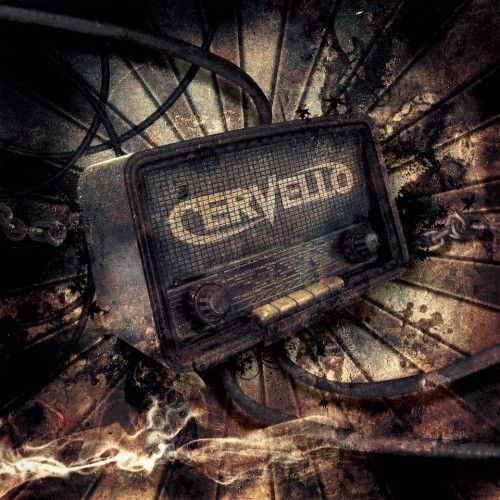 cervello cervello 