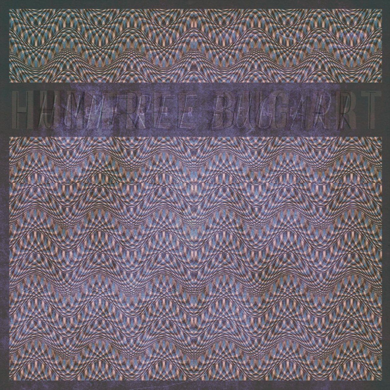 chairlene humfree bug art 