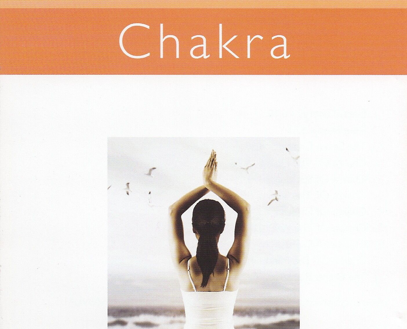 chakra echoes of t ravi chawla 