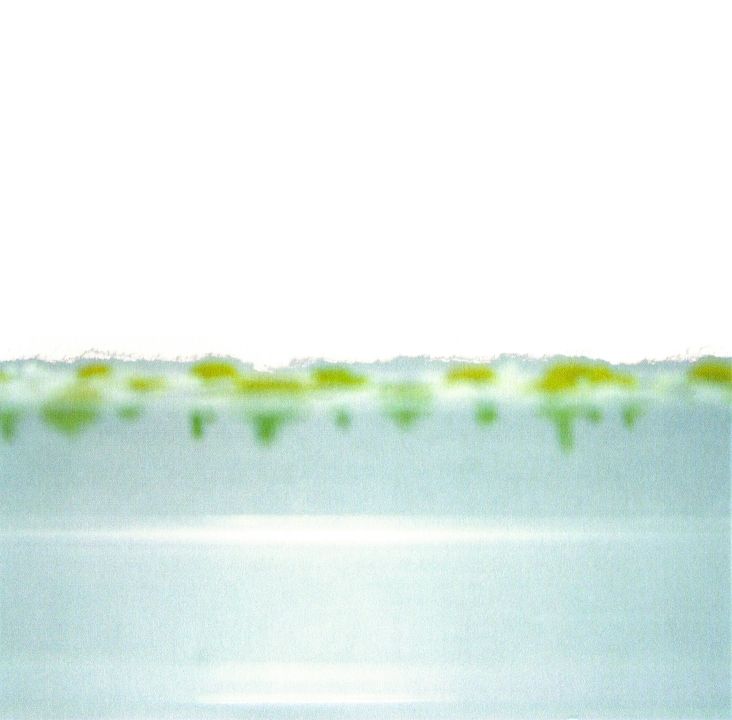 chamomile pool ai aso 