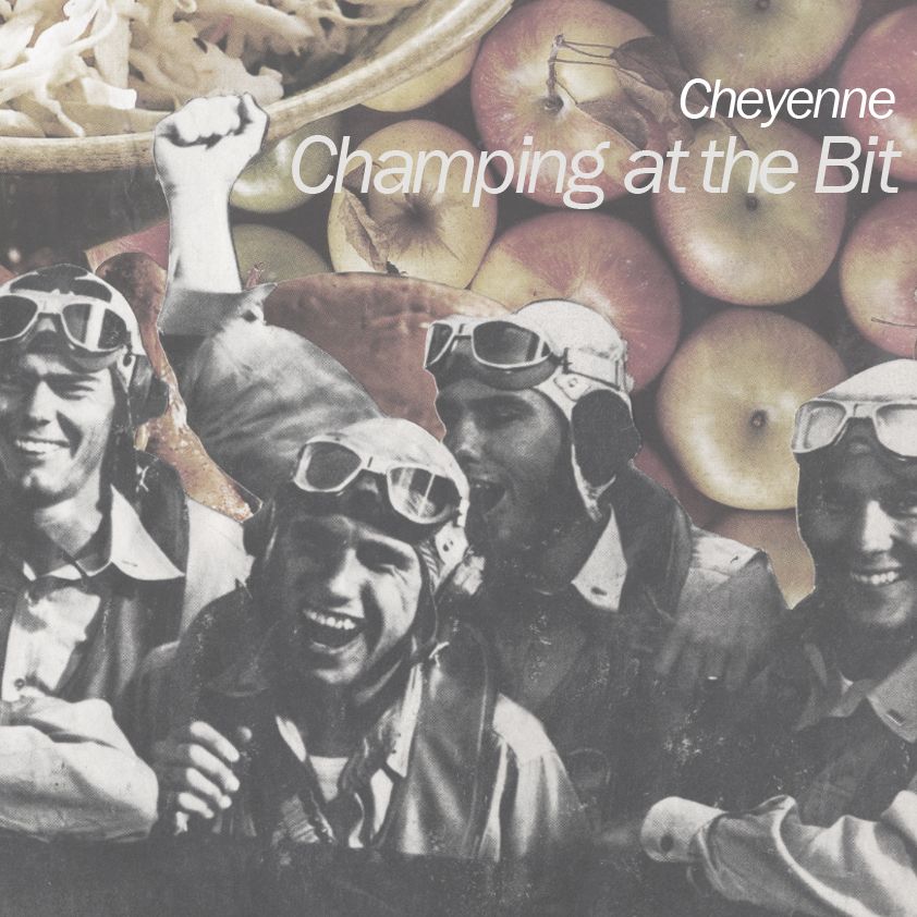 champing at the bit cheyenne 