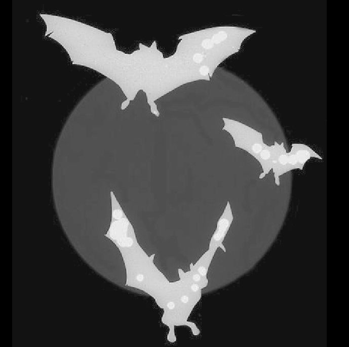 chants of the morall edasi 