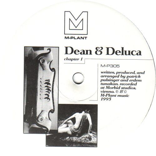 chapter 1 dean deluca 