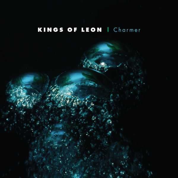 charmer kings of leon 