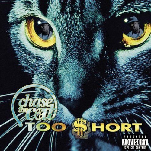chase the cat too hort 