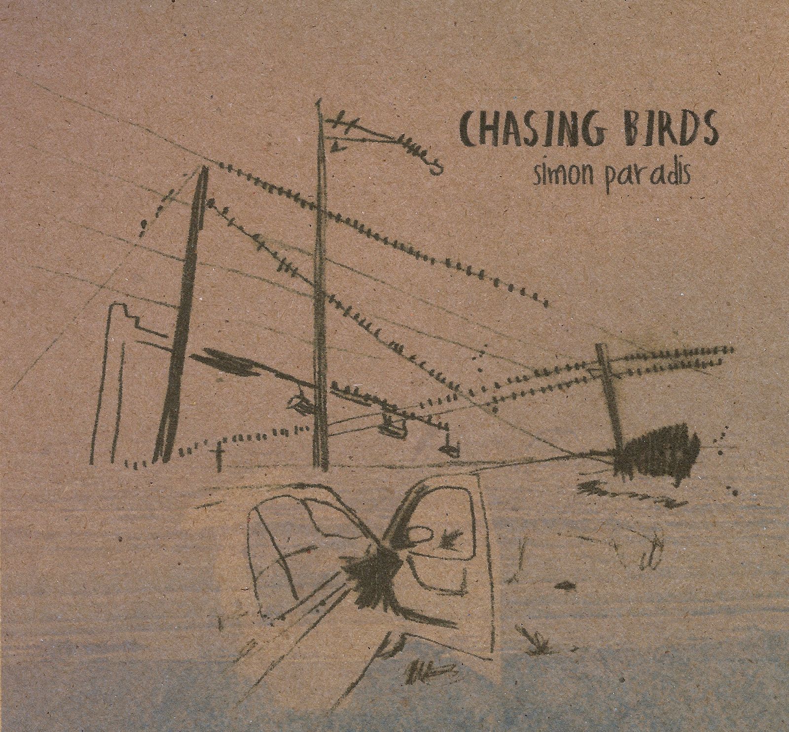chasing birds david simon paradis  