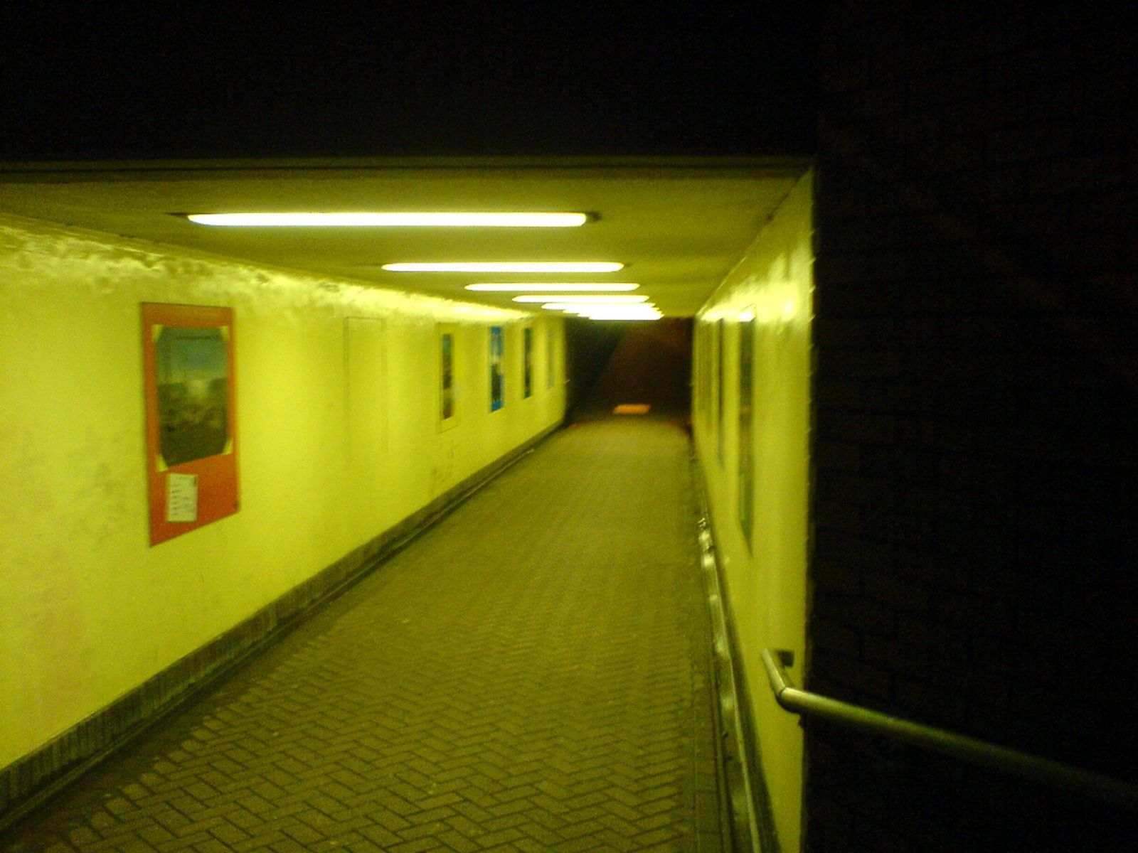 chasing shells unma joshuabenjaminwillia 