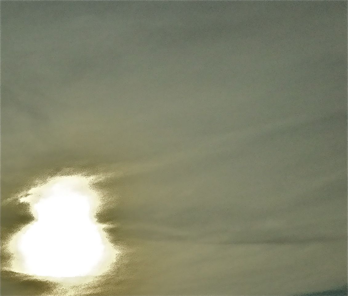 chasing tails quixotism 