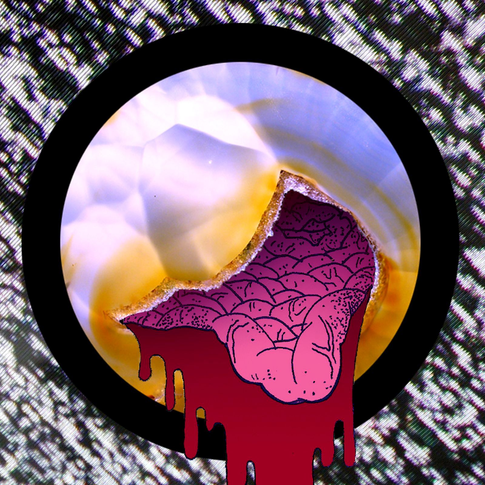 cheap dinosaurs play cheap dinosaurs 