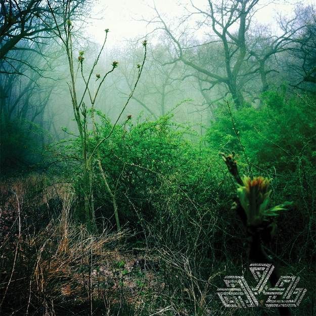 check your swing mind over mirrors  