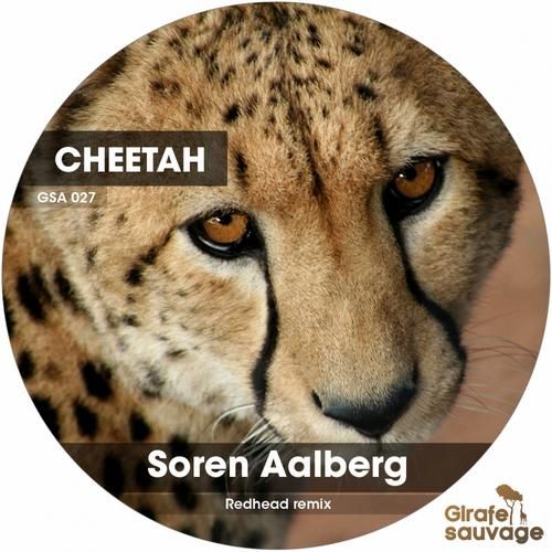 cheetah soren aalberg  