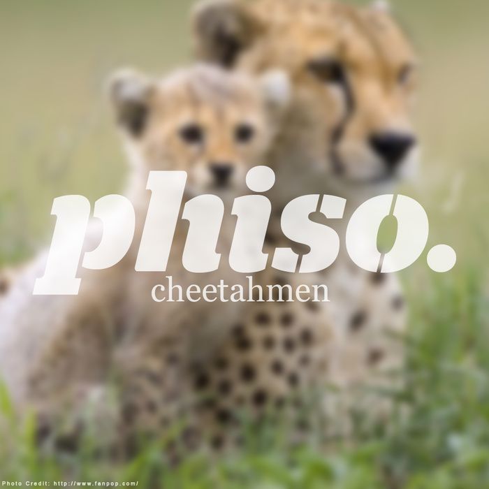 cheetahmen phiso 