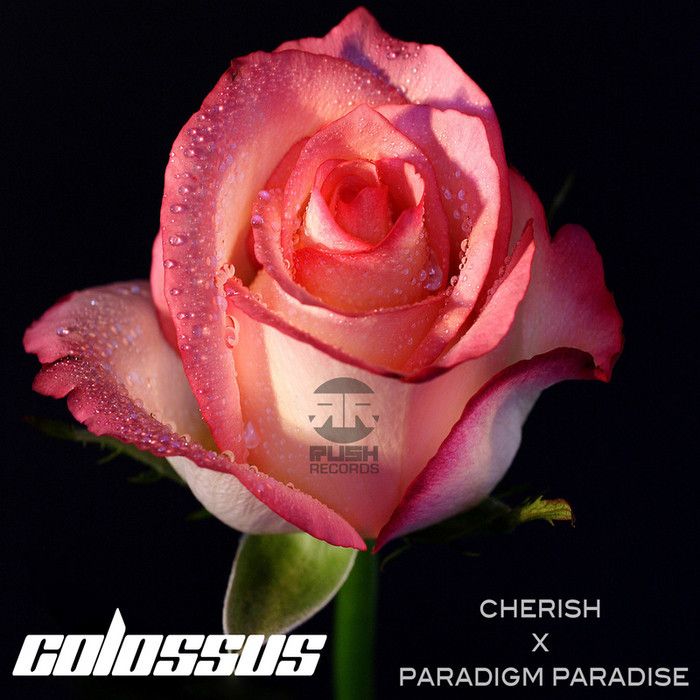 cherish paradigm p colossus 