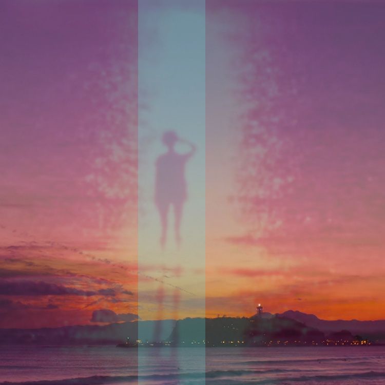 cherished fatal memory error 