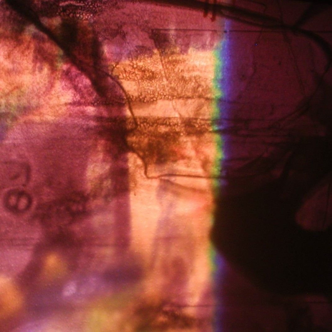 cherishing bitternes diurnal burdens 