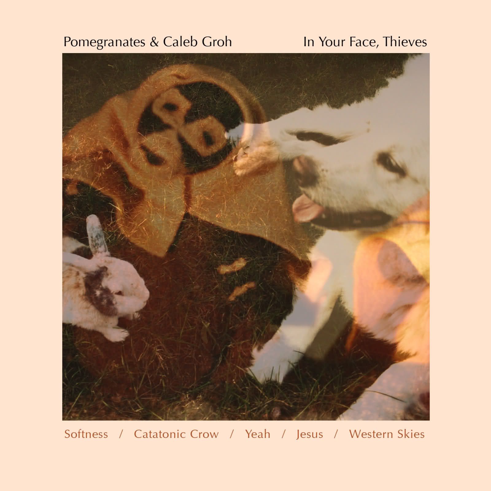 chestnut attic ep pomegranates  