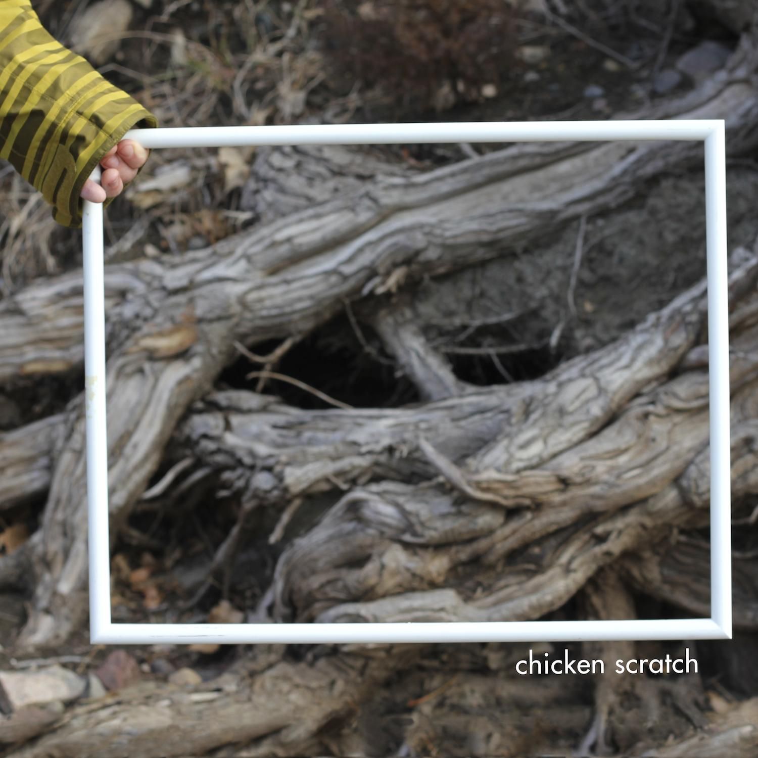 chicken scratch devin e 