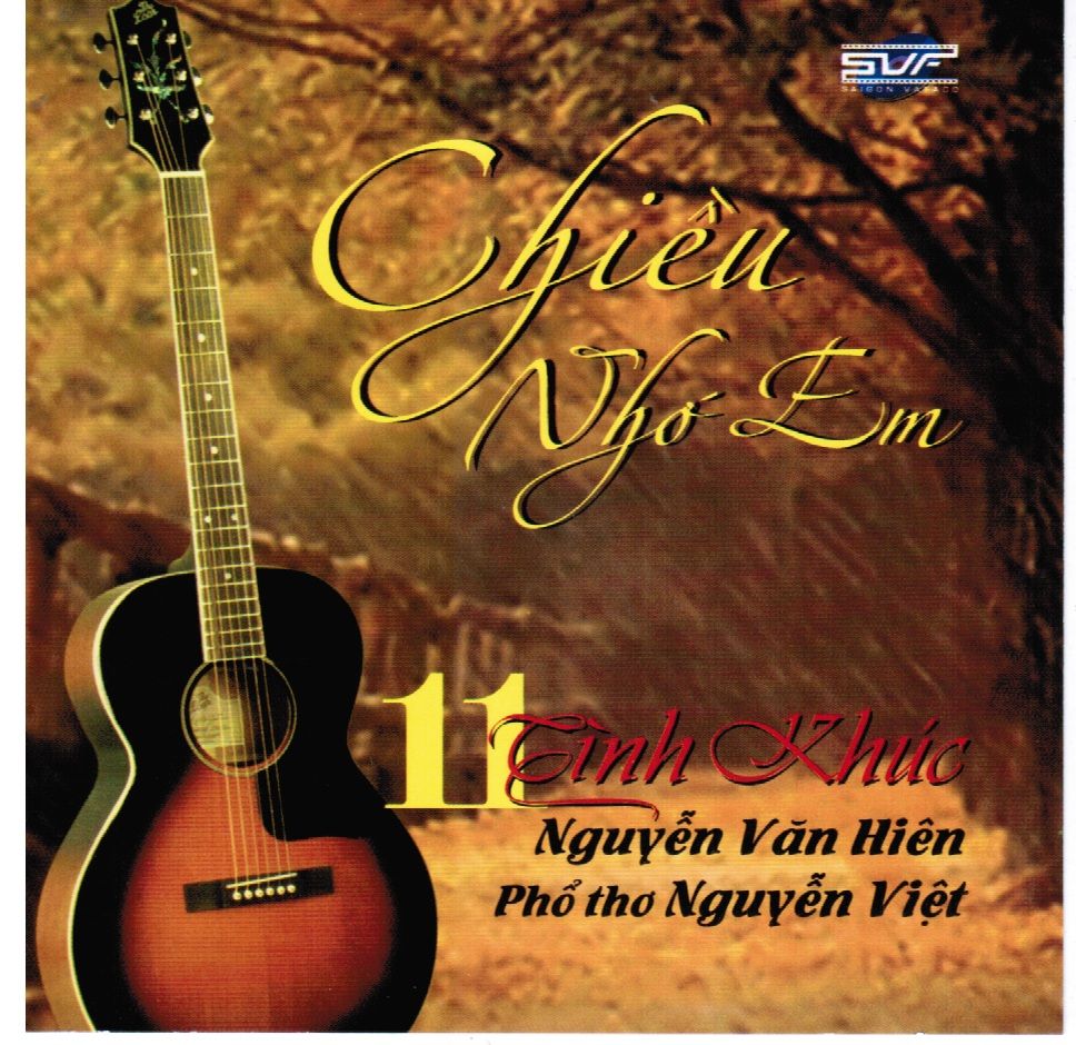 chieu nho em dinh nguyen 