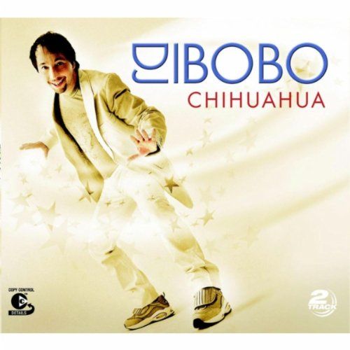 chihuahua dj bobo 
